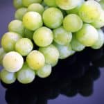 How Long Does Wine Take to Freeze? + My Own Experiment