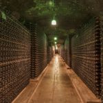 8 Proven Steps for Long-Term Wine Storage (Complete Guide)