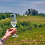 French vs. California Wines