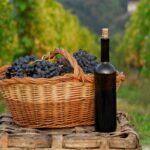 Is It Cheaper to Buy Wine at the Vineyard