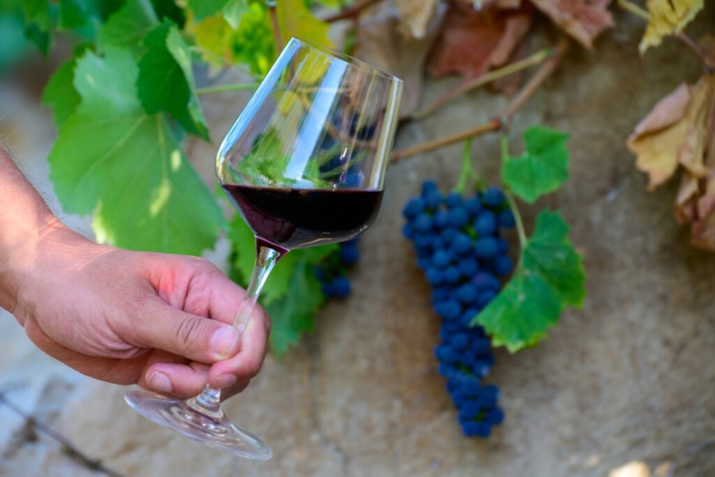 Advantages and Disadvantages of Buying Wine at the Vineyard