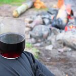 Why Should I Buy Stemless Wine Glasses