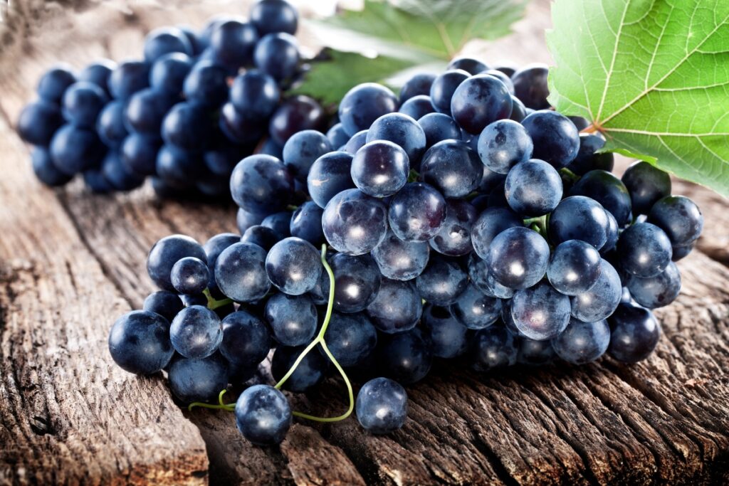 Do Wine Grapes Contain Alcohol