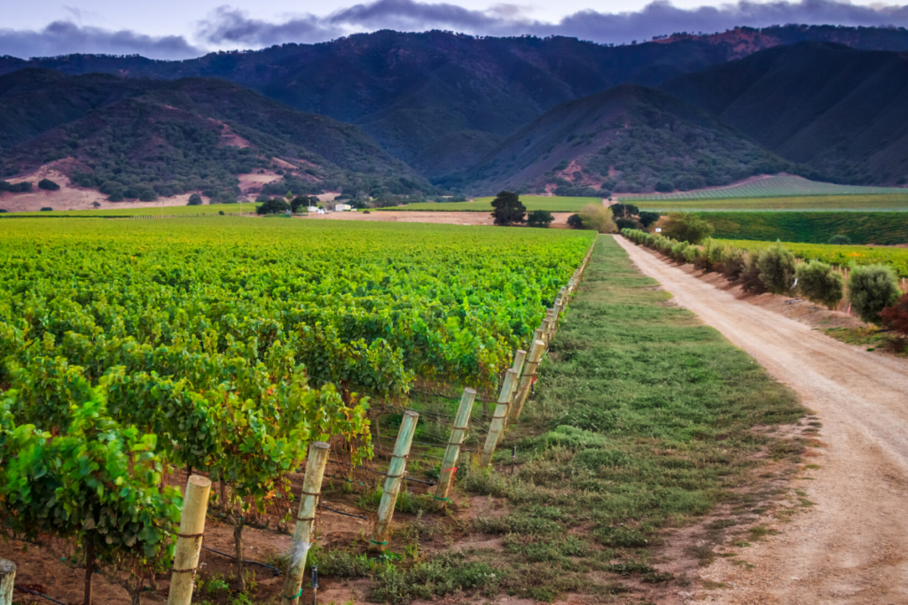 Morgan Winery winery or wine image