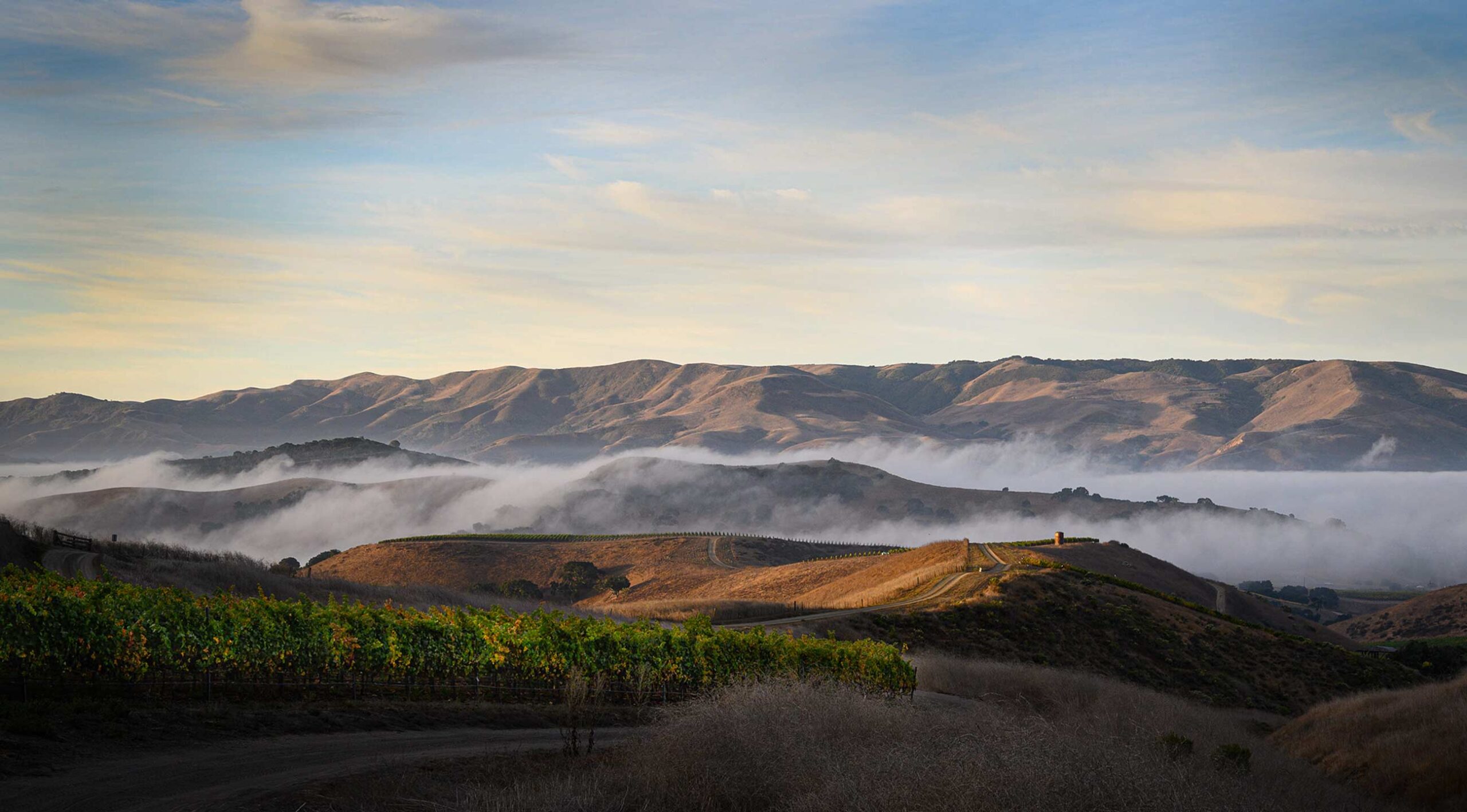 Dragonette Cellars winery or wine image