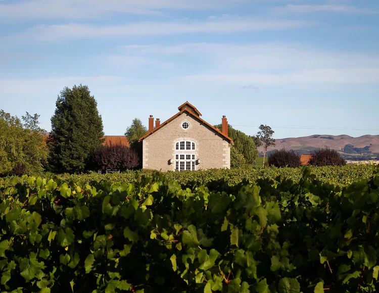 Etude winery or wine image