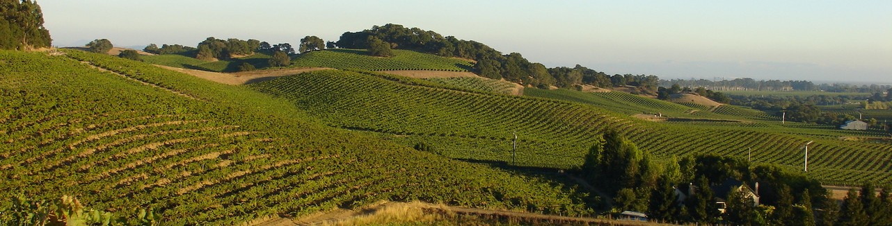 Truchard Vineyards winery or wine image