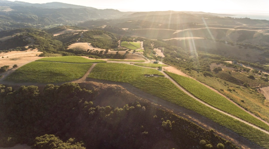 Albatross Ridge winery or wine image