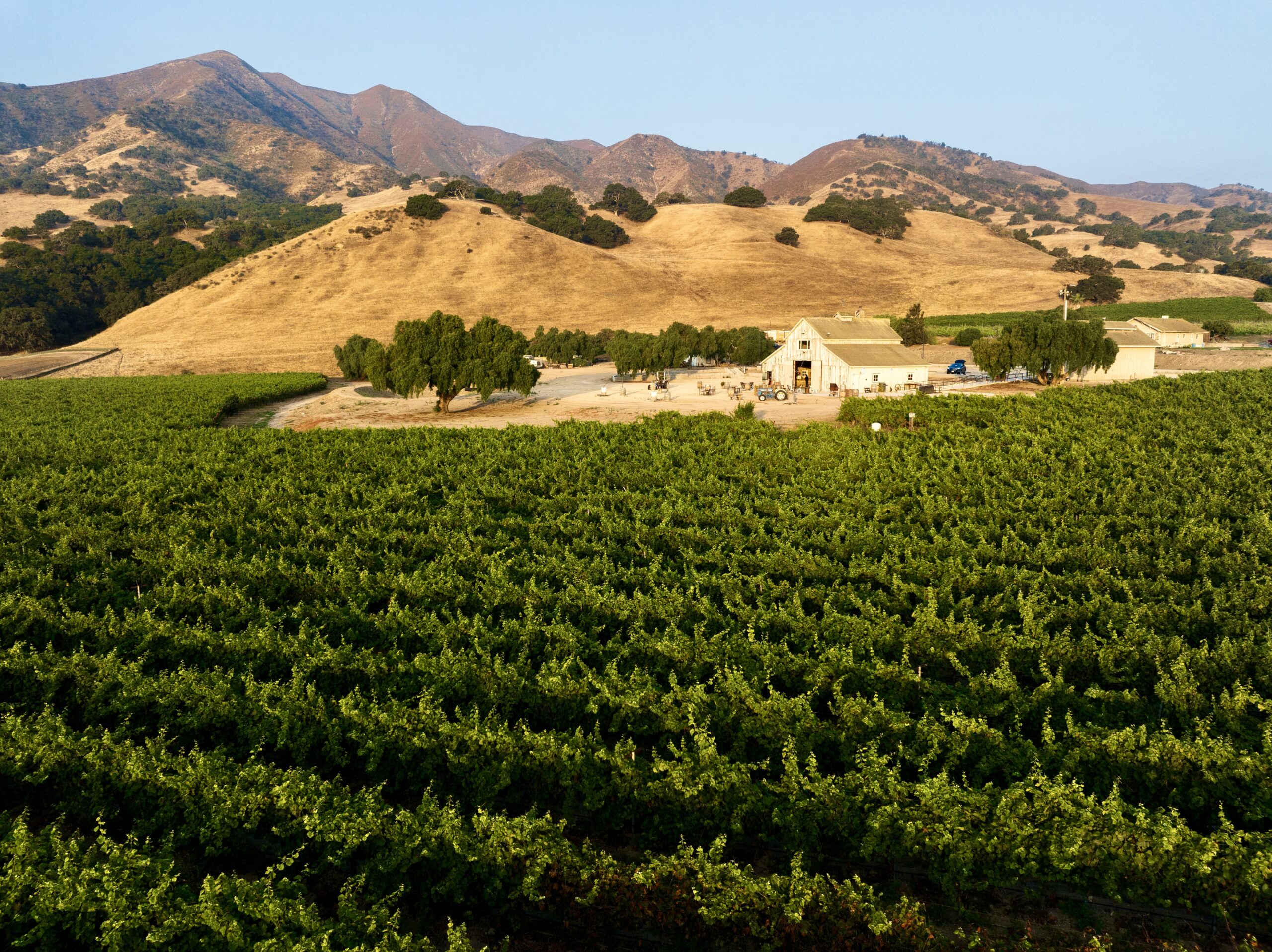 Rustique Wines winery or wine image