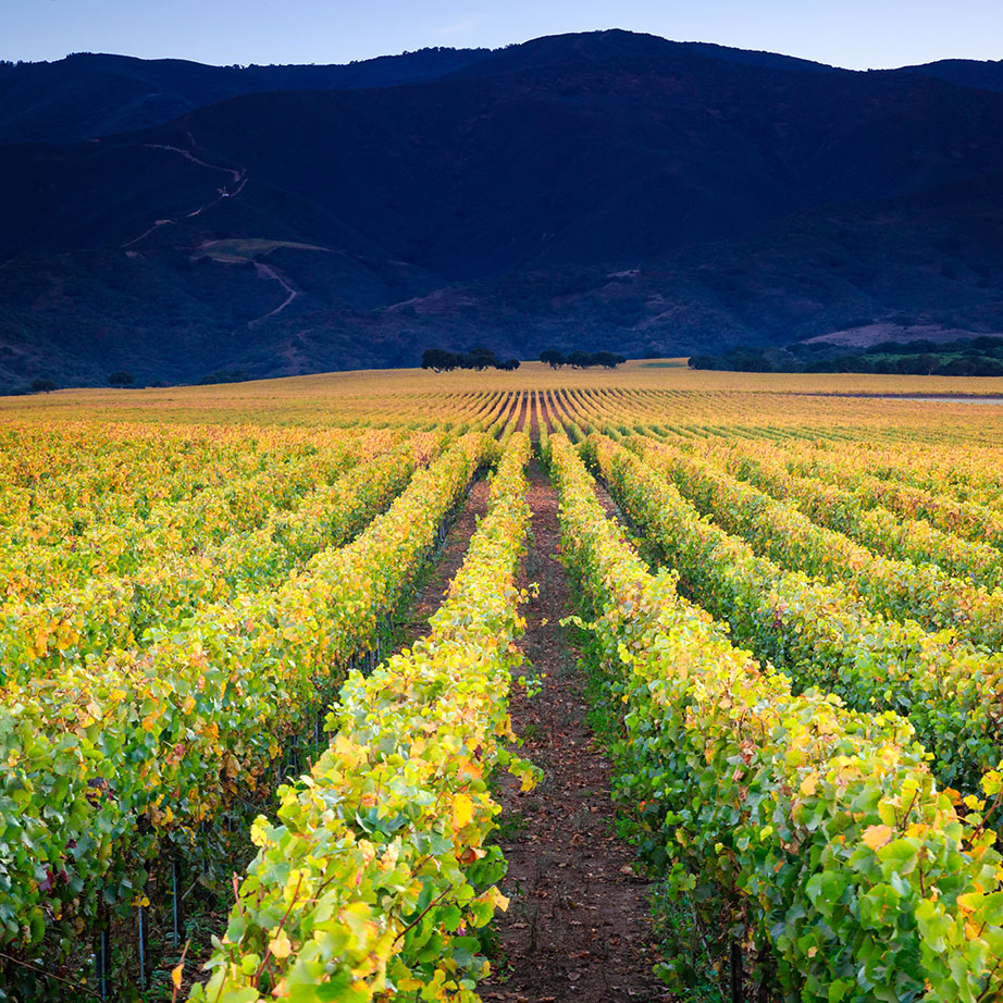 CRU Winery winery or wine image