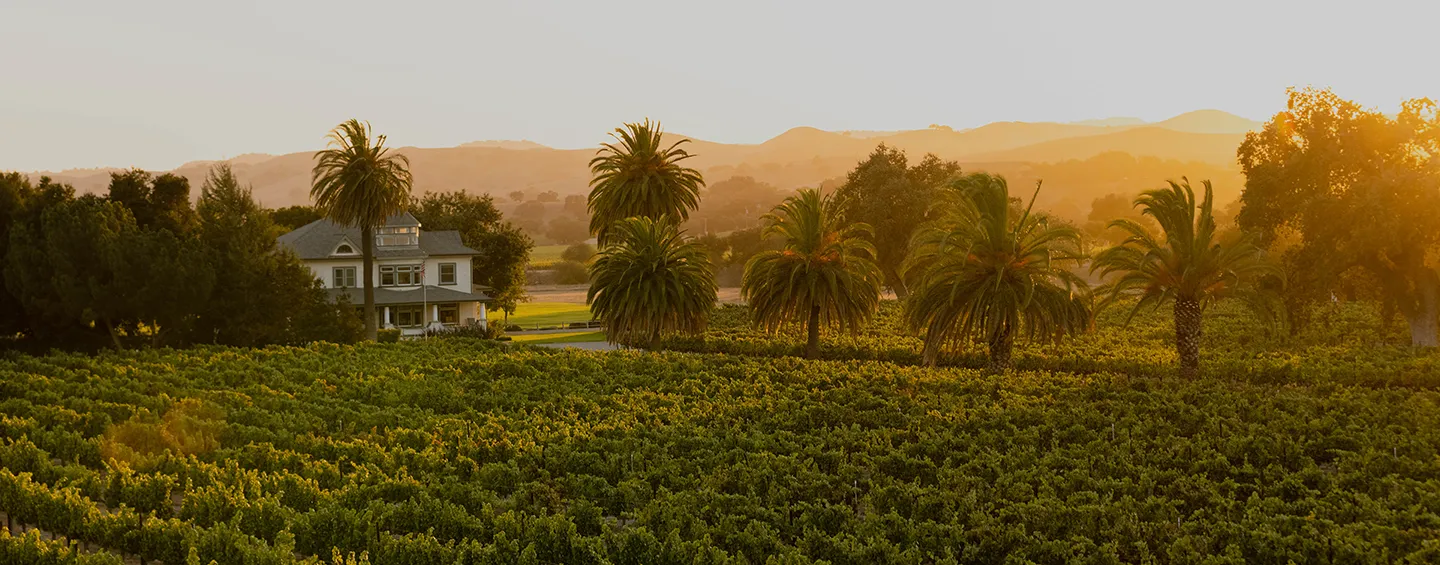 Firestone Vineyard winery or wine image
