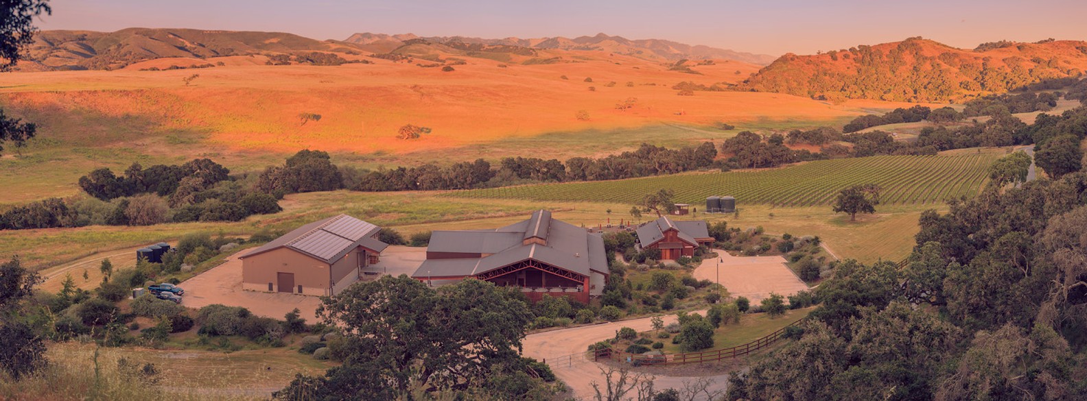 Foxen Vineyard & Winery winery or wine image