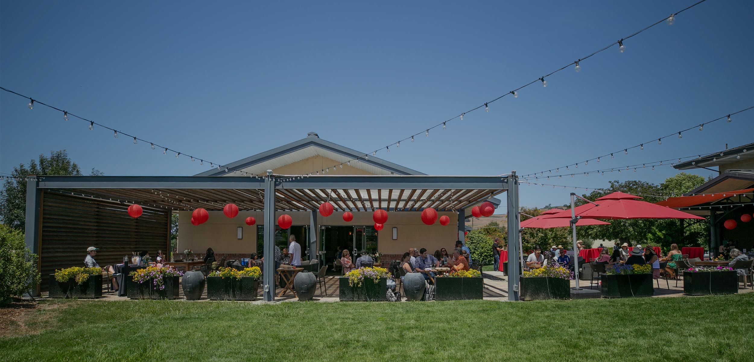 RD Winery winery or wine image