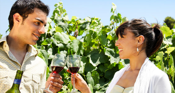 Manzoni Estate Vineyard winery or wine image