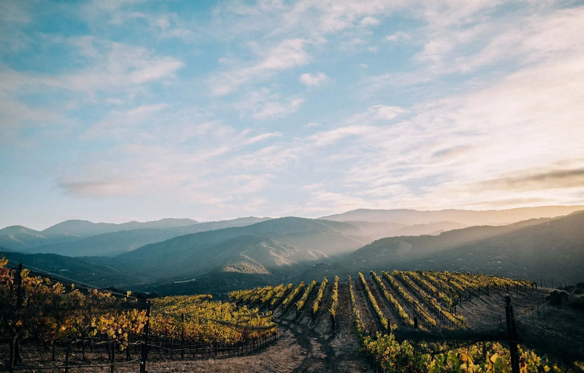 Holman Ranch winery or wine image