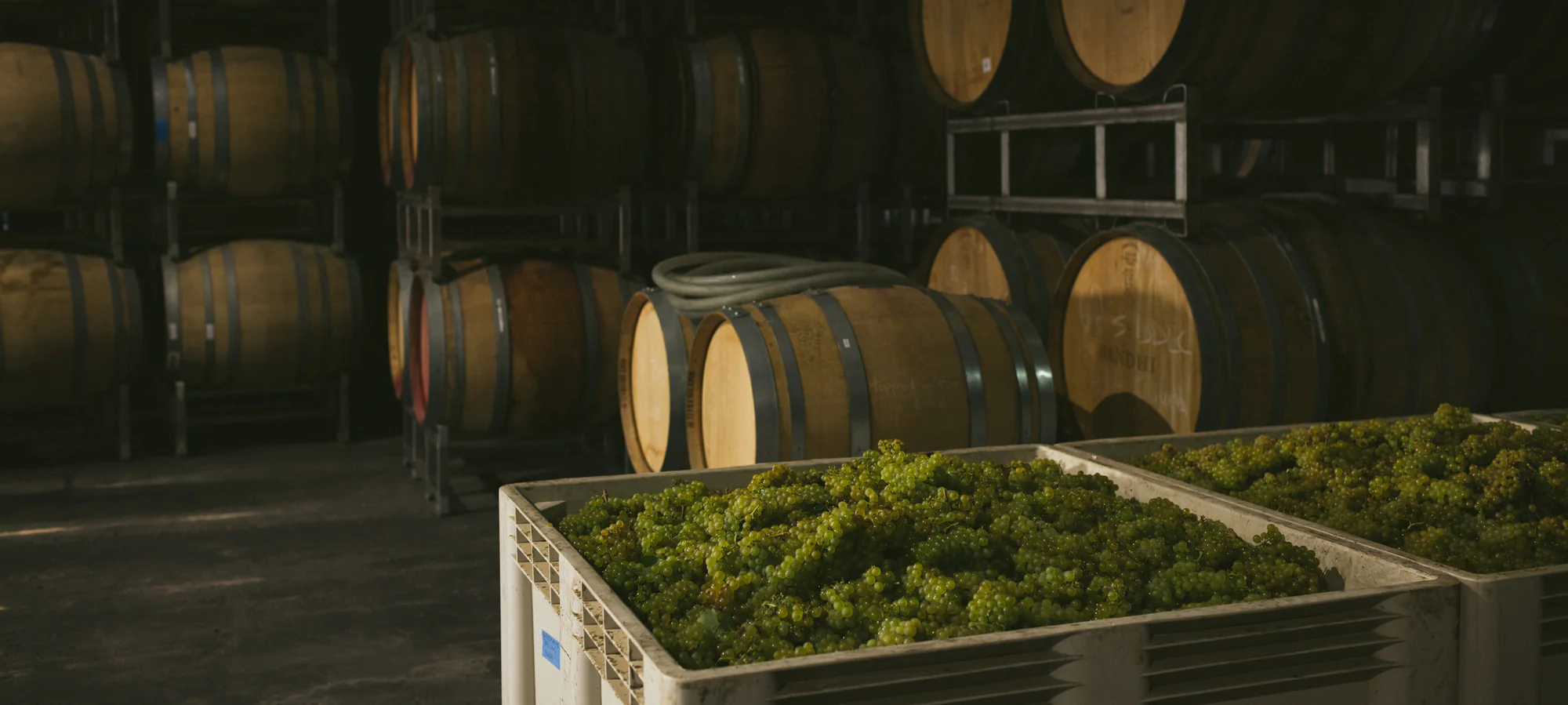 Sandhi Wines winery or wine image