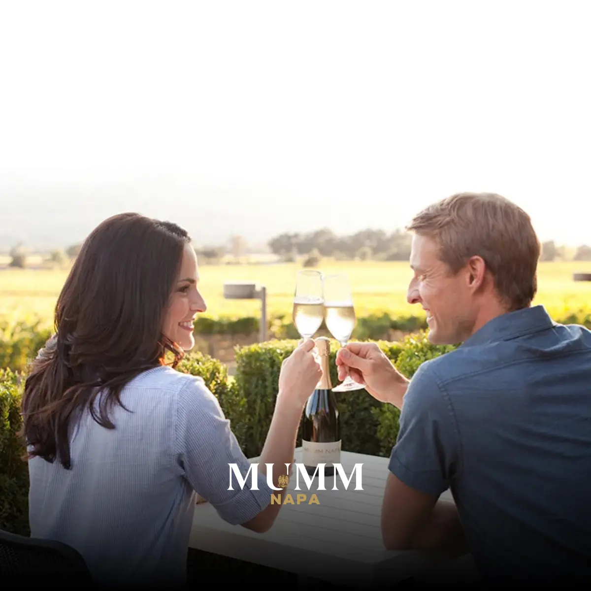 Mumm Napa winery or wine image