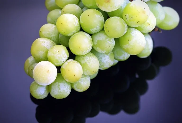 How Long Does Wine Take to Freeze? + My Own Experiment