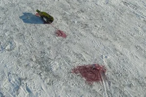 Green wine bottle lying on snow with red wine spilled and frozen on the surface