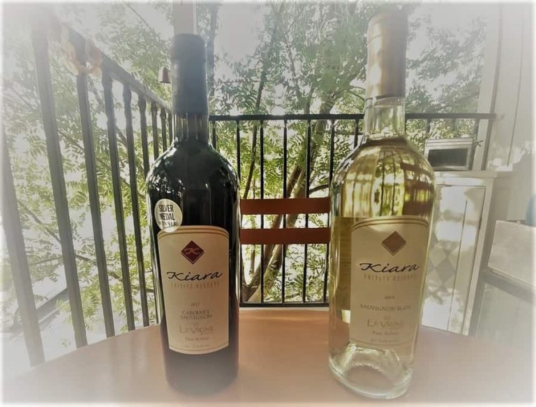 Best Small Wine Refrigerators for Apartments (Buyer’s Guide)
