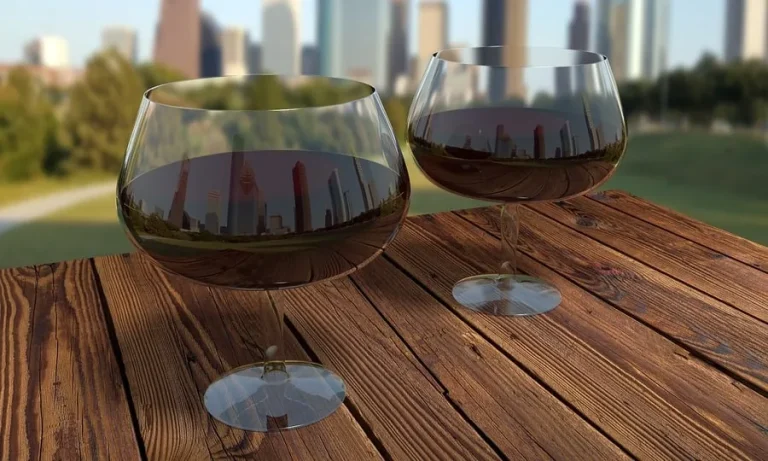 How to Store Pinot Noir (Temperature, Humidity, Light, etc.)