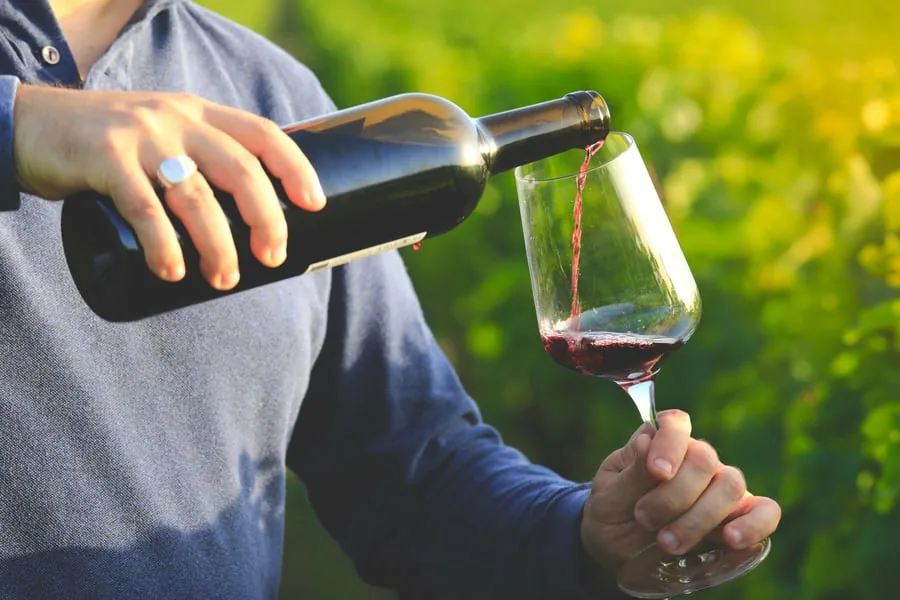 A person pouring red wine from a dark bottle into a wine glass outdoors near green vines