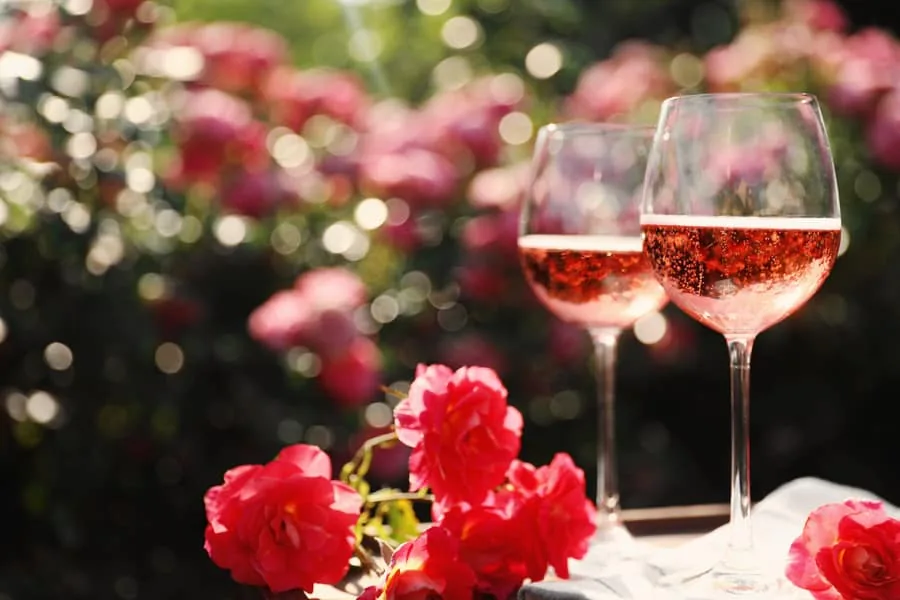 Two glasses of chilled rose wine on a white cloth beside pink roses in a sunlit garden