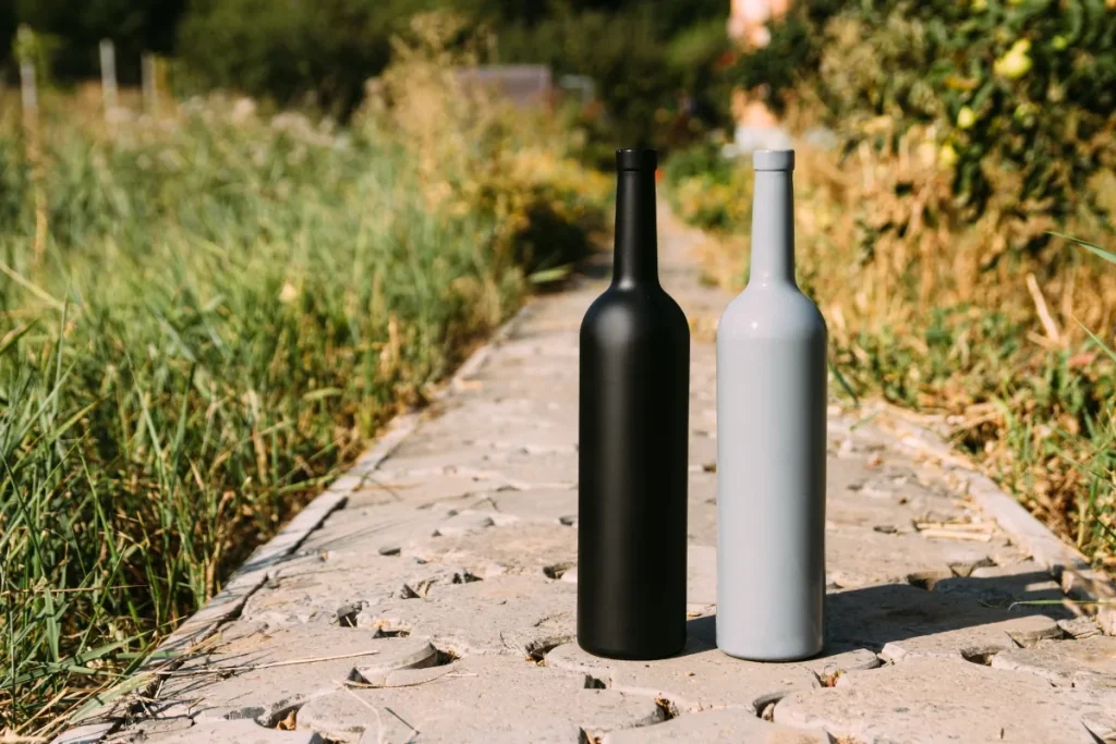 Two unlabeled wine bottles, one black and one gray, standing side by side on a stone path