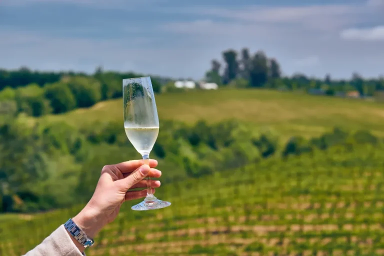 French vs. California Wines: Key Differences & Similarities