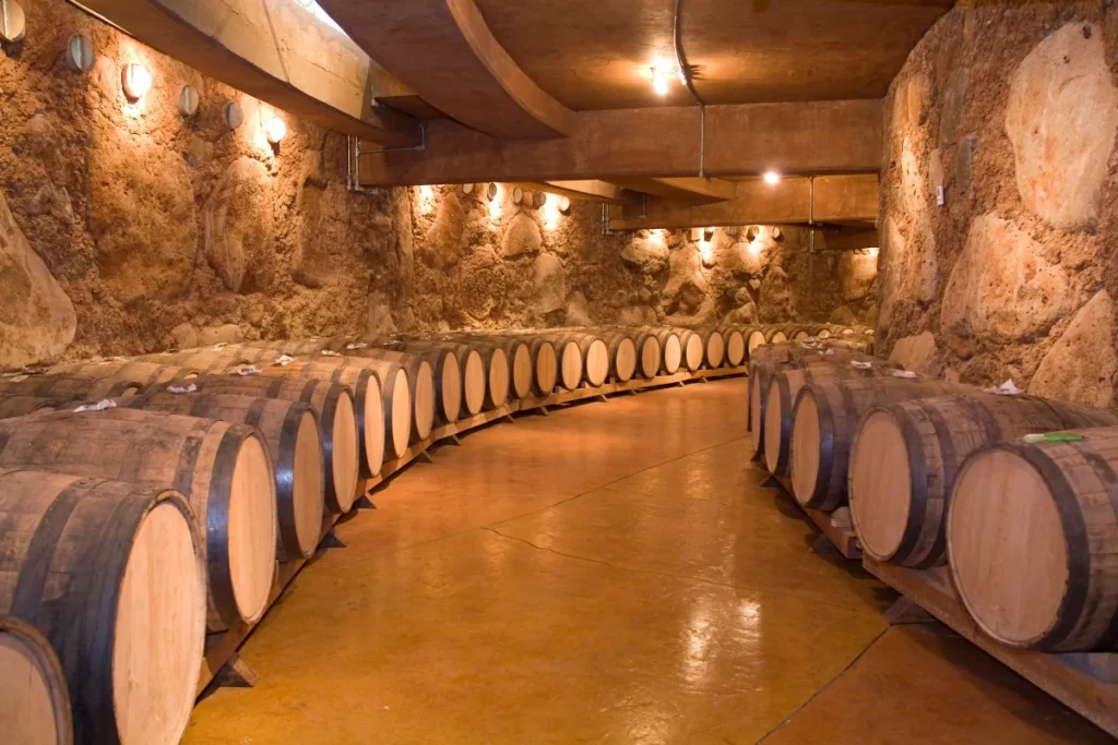Rows of oak barrels aging wine in an underground cellar with rough stone walls