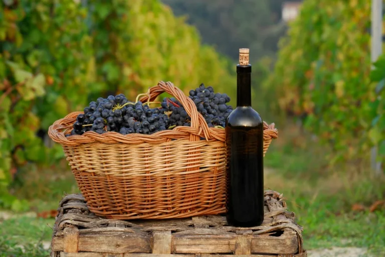 Is Buying Wine at the Vineyard Cheaper? [Definitive Answer]