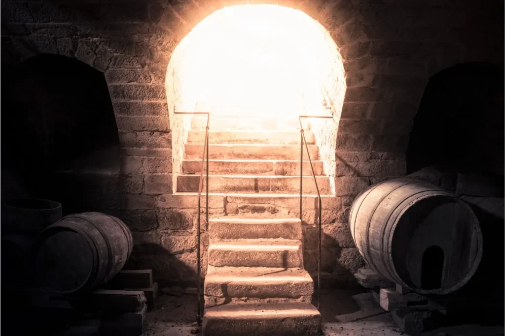 Stone staircase leading out of an underground wine cellar with oak barrels along the walls