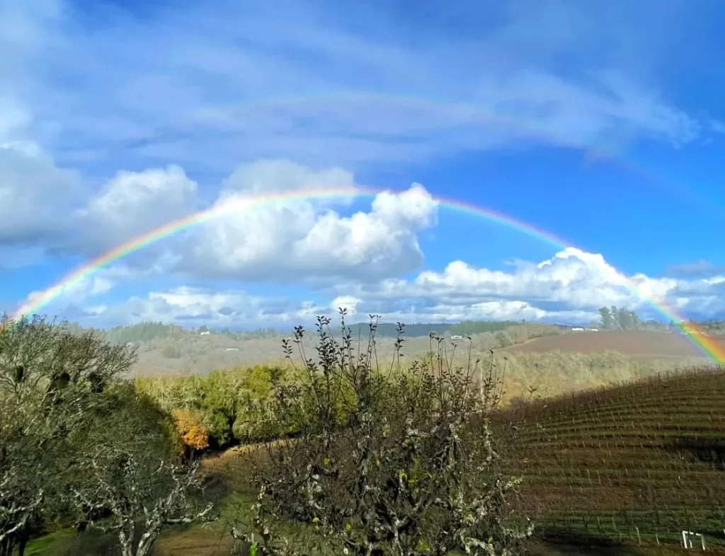 Rainbow arcing over rolling Sonoma County hills with vineyard rows at Iron Horse Vineyards