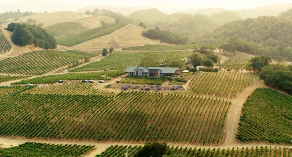 MacRostie Winery tasting house surrounded by hillside vineyard rows in Sonoma County